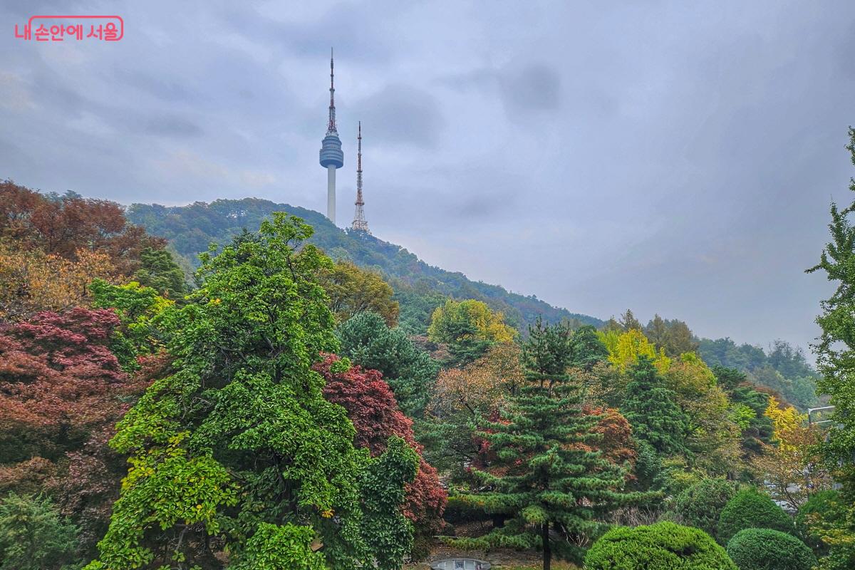 나무 사이로 보이는 남산서울타워